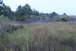 resIMG_20100802_4062.JPG